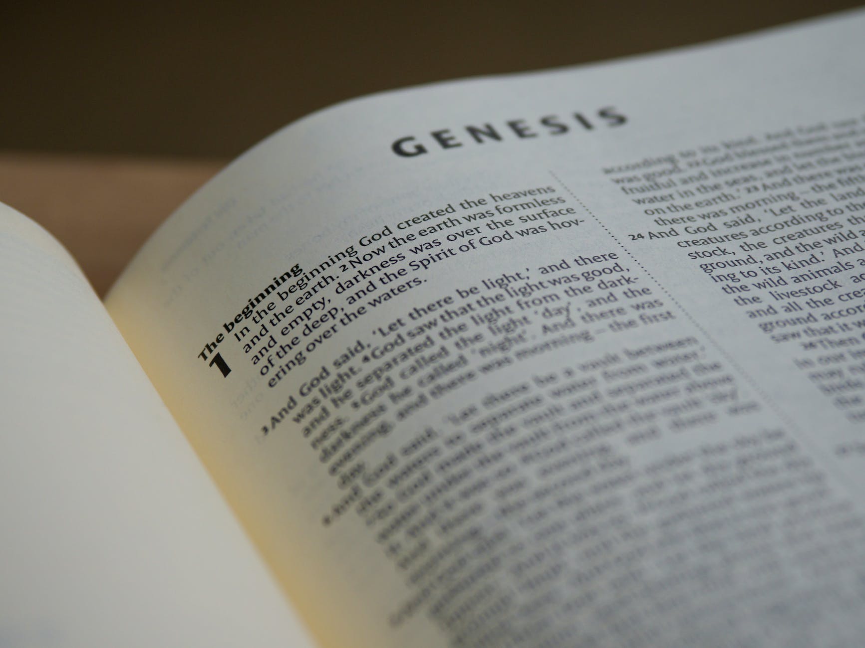 Mediation biblique