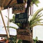 three wooden signage in a tree close up photography