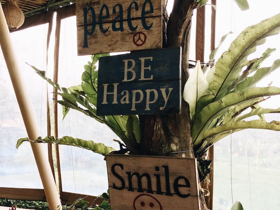 three wooden signage in a tree close up photography