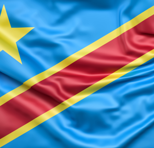 RDC-Flag-Lcmv