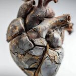 l’assurance du cœur