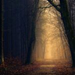 Foi qui mûrit dans le silence